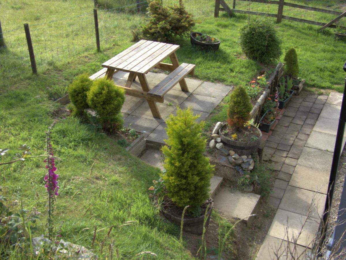 Abergwynant Farm Glamping & Apartments Долгелай Екстериор снимка