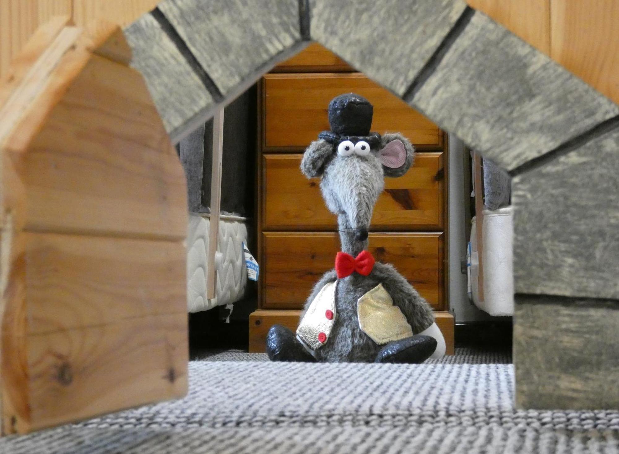 Abergwynant Farm Glamping & Apartments Долгелай Екстериор снимка