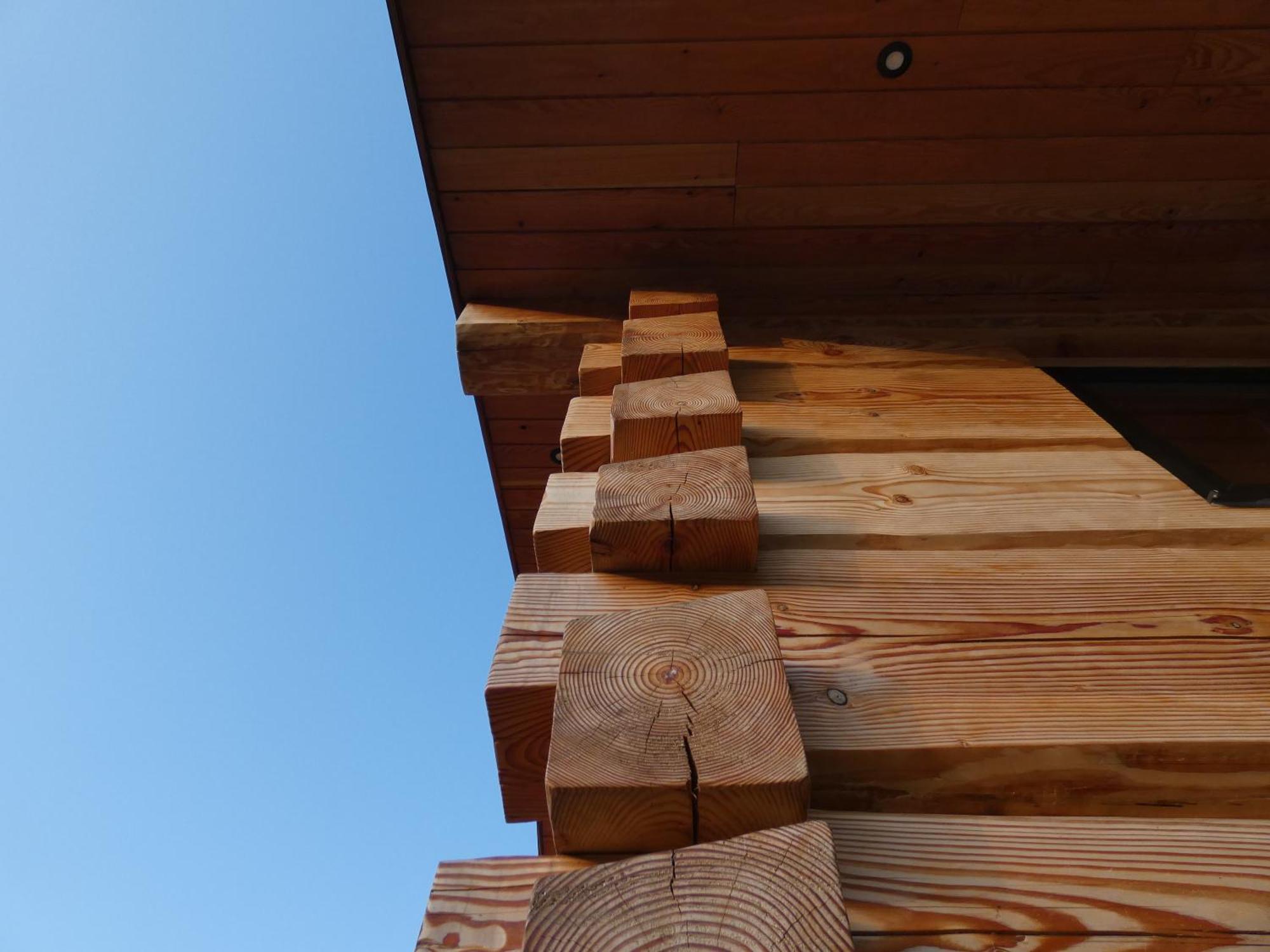 Abergwynant Farm Glamping & Apartments Долгелай Екстериор снимка
